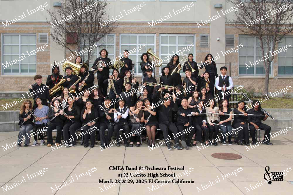 Musical Images